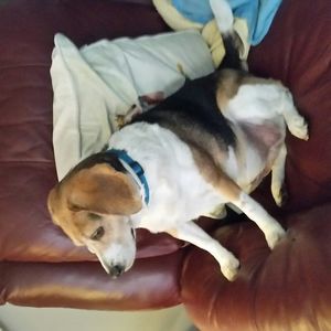 Meet your Posher, Ethel